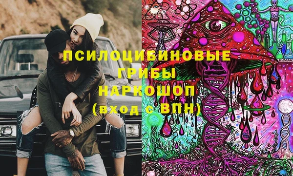 винт Аркадак
