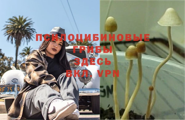 альфа пвп VHQ Арсеньев